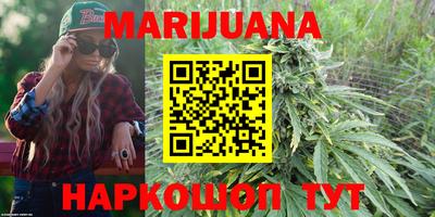 сатива Будённовск