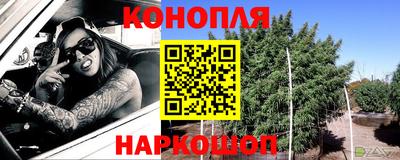 сатива Будённовск