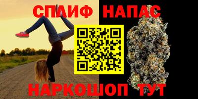 сатива Будённовск